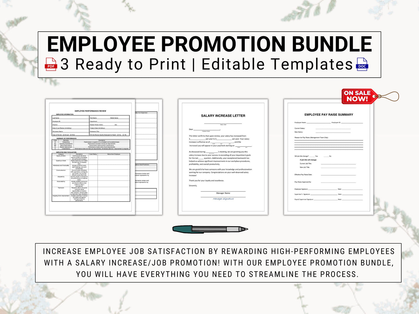 Employee Promotion Trio | Simplify Employee Promotions | Includes an Employee Performance Review, Salary Increase Letter & Pay Raise Summary